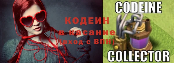 стаф Бородино