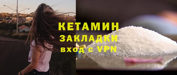 стаф Бородино
