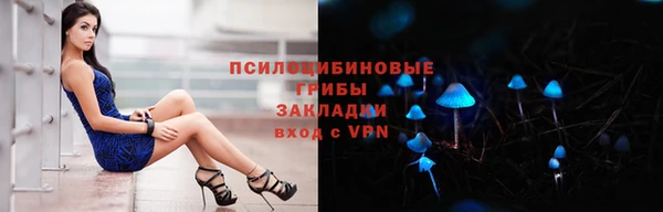 дурь Бугульма