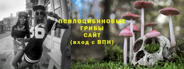стаф Бородино