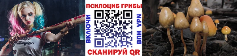 Галлюциногенные грибы Magic Shrooms  закладки  Высоцк 